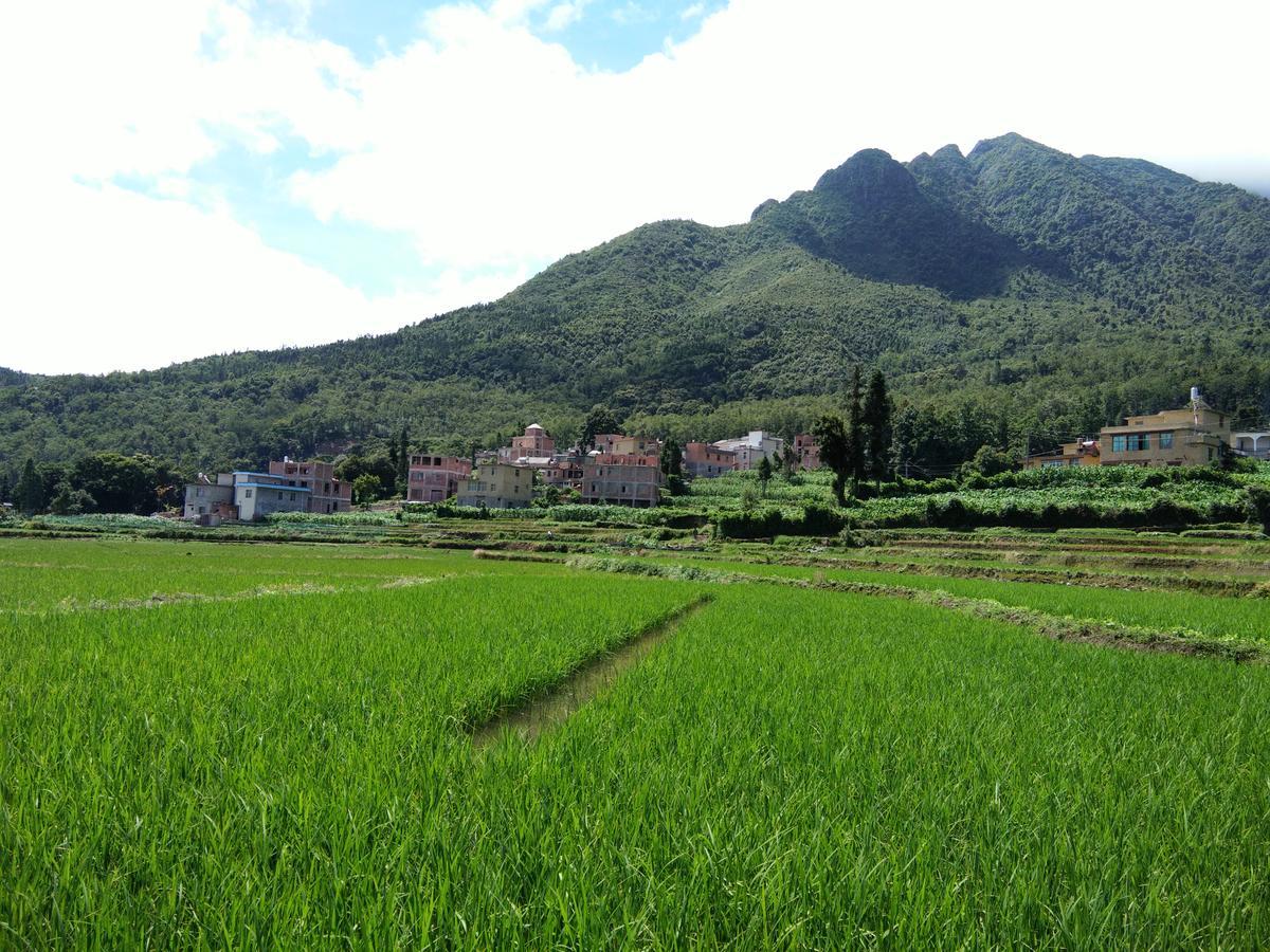 Belinda Backpackers Guesthouse Yuanyang  Exterior photo